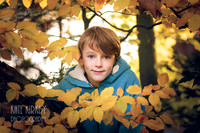 Yellow Leaves